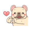 French Bulldog PIGU 8