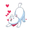 Perro shiba 9