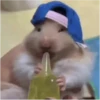 Hamsters 10