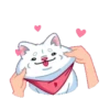 Perro shiba 11