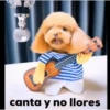 Animales Simpáticos MOV. 6