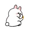 HyperRabbit x BROWN &amp; FRIENDS 6
