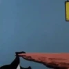 Pepe le Pew 9