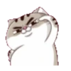 fat meow 1 6