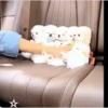 Animales Simpáticos MOV. 7