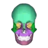 Skulls and bones 💀🦴 + 2 5