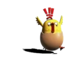 ChIcKy Pa 6
