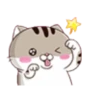 fat meow 2 11