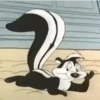 Pepe le Pew 16