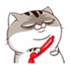 fat meow 2 12