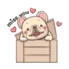 French Bulldog PIGU 14