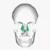 Skulls and bones 💀🦴 + 2 7