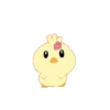 Renepampam little chicken 5