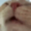 kitten 16