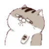 fat meow 1 9