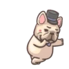 French Bulldog PIGU 19
