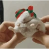 Hamsters 11