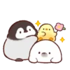 🐣Soft & cute chick 5🐣 MOV 19