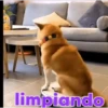 Animales Simpáticos MOV. 12