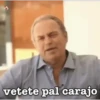 Musica  Mov. 14