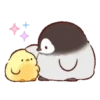🐣Soft & cute chick 5🐣 MOV 20