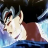 Goku Mov 18