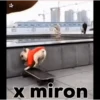 Animales Simpáticos MOV. 13