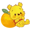 Winnie the Pooh cítricos 15