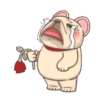 French Bulldog PIGU 21