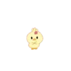 Renepampam little chicken 8