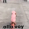 Animales Simpáticos MOV. 15