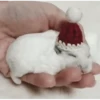 Hamsters 16