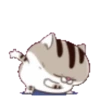 fat meow 1 15