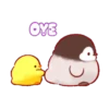 Pollito Soft  MOV 19