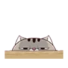 fat meow 2 20