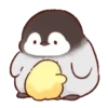 🐣Soft & cute chick 5🐣 MOV 21