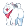 Perro shiba 17