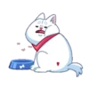 Perro shiba 18