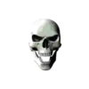 Skulls and bones 💀🦴 + 2 22