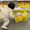 Niños Coreanos 8 Mov 25