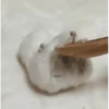 Hamsters 22