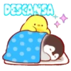 Pollito Soft  MOV 23