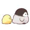🐣Soft & cute chick 5🐣 MOV 22