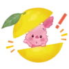 Winnie the Pooh cítricos 21