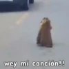 Mix💜✥29🇨🇴Movi 21