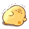 🐣Soft & cute chick 5🐣 MOV 23