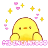 Pollito Soft  MOV 25