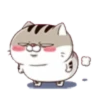 fat meow 2 24
