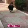 Coreanita en Guaraní   Mov 28