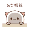 動態蜜桃貓(7) 21